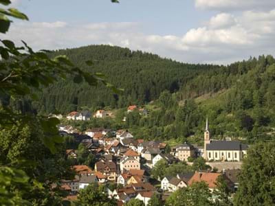 Blick vom Allerswald