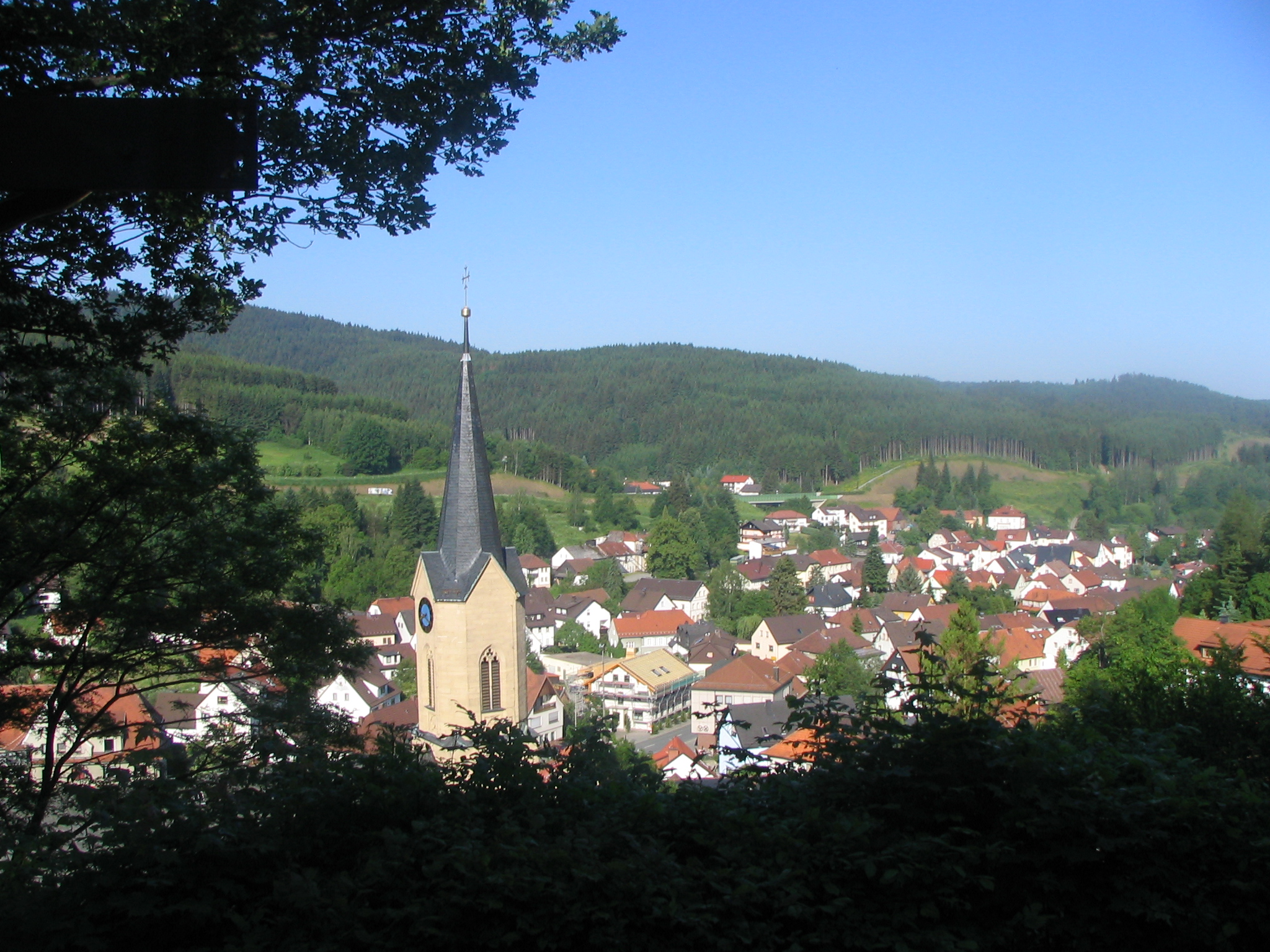 01 Blick auf Wallenfels.jpg