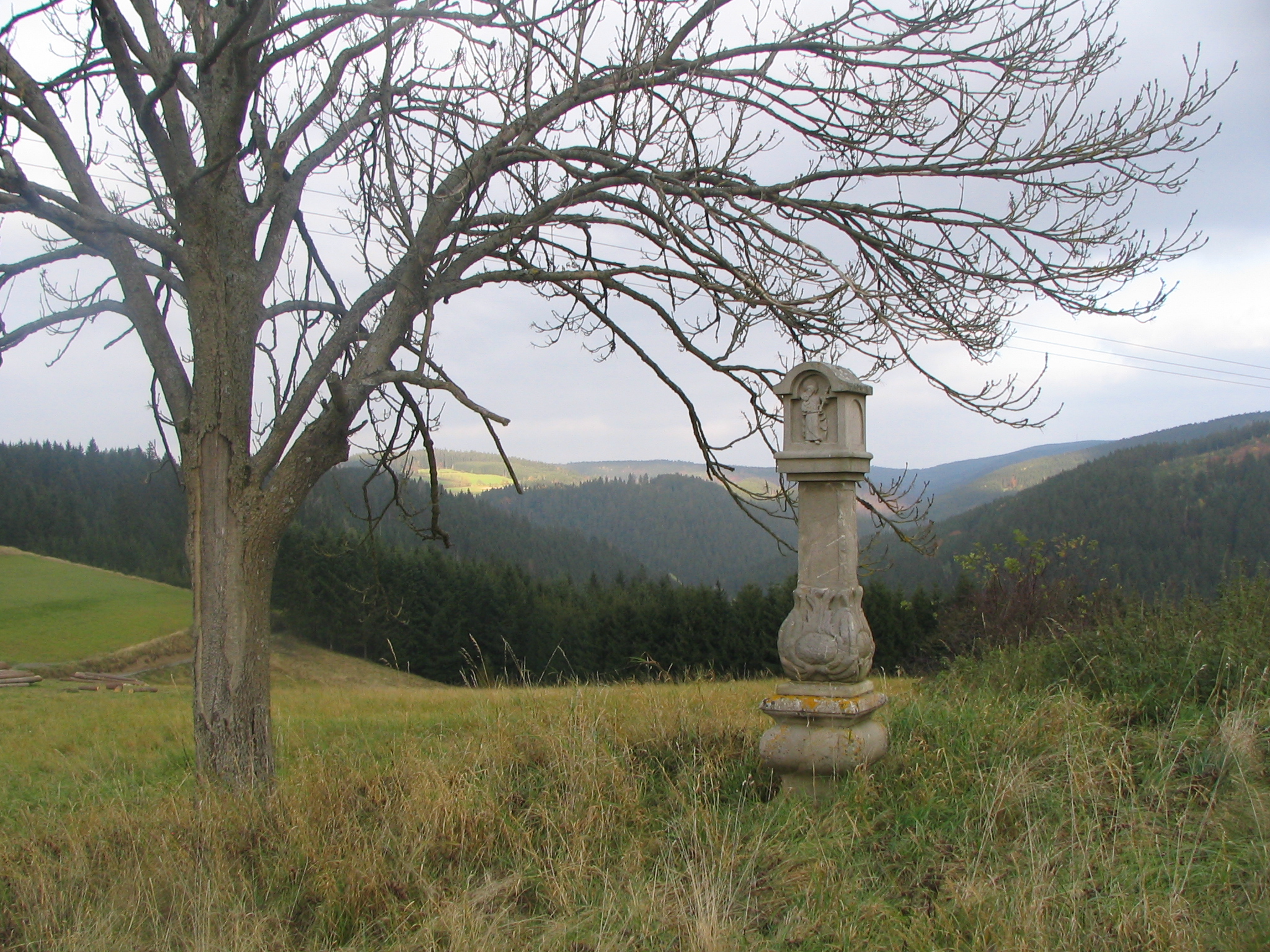 Am Lamitzpfad bei Wellesberg.jpg