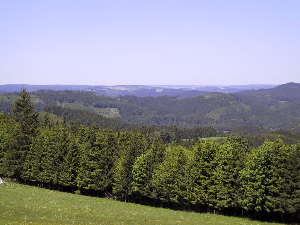 MTB-Süd Dörnach - Neufang