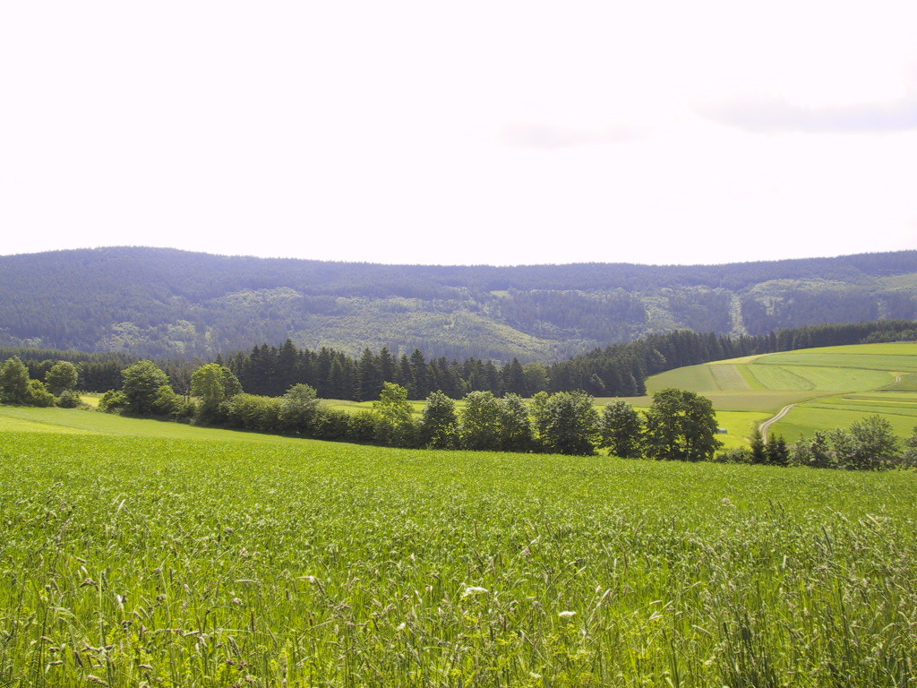 MTB Nord Scheibenberg.JPG