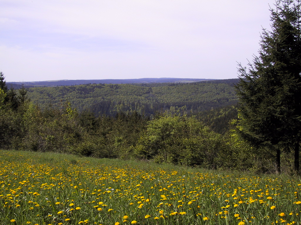 MTB-Nord bei Wolfersgrün.JPG