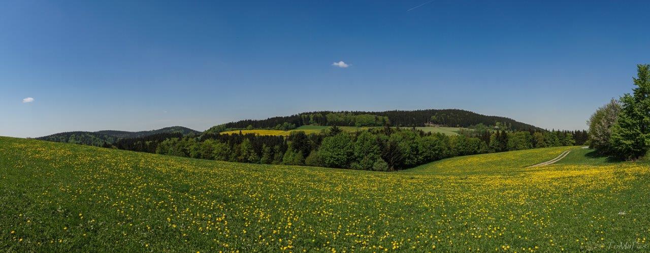 Leider haben wir keinen Alternativtext zu diesem Bild, aber wir arbeiten daran.