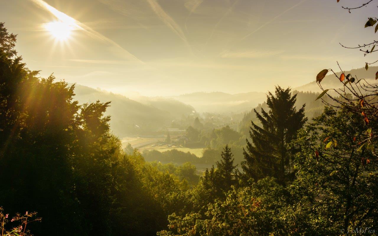 Leider haben wir keinen Alternativtext zu diesem Bild, aber wir arbeiten daran.