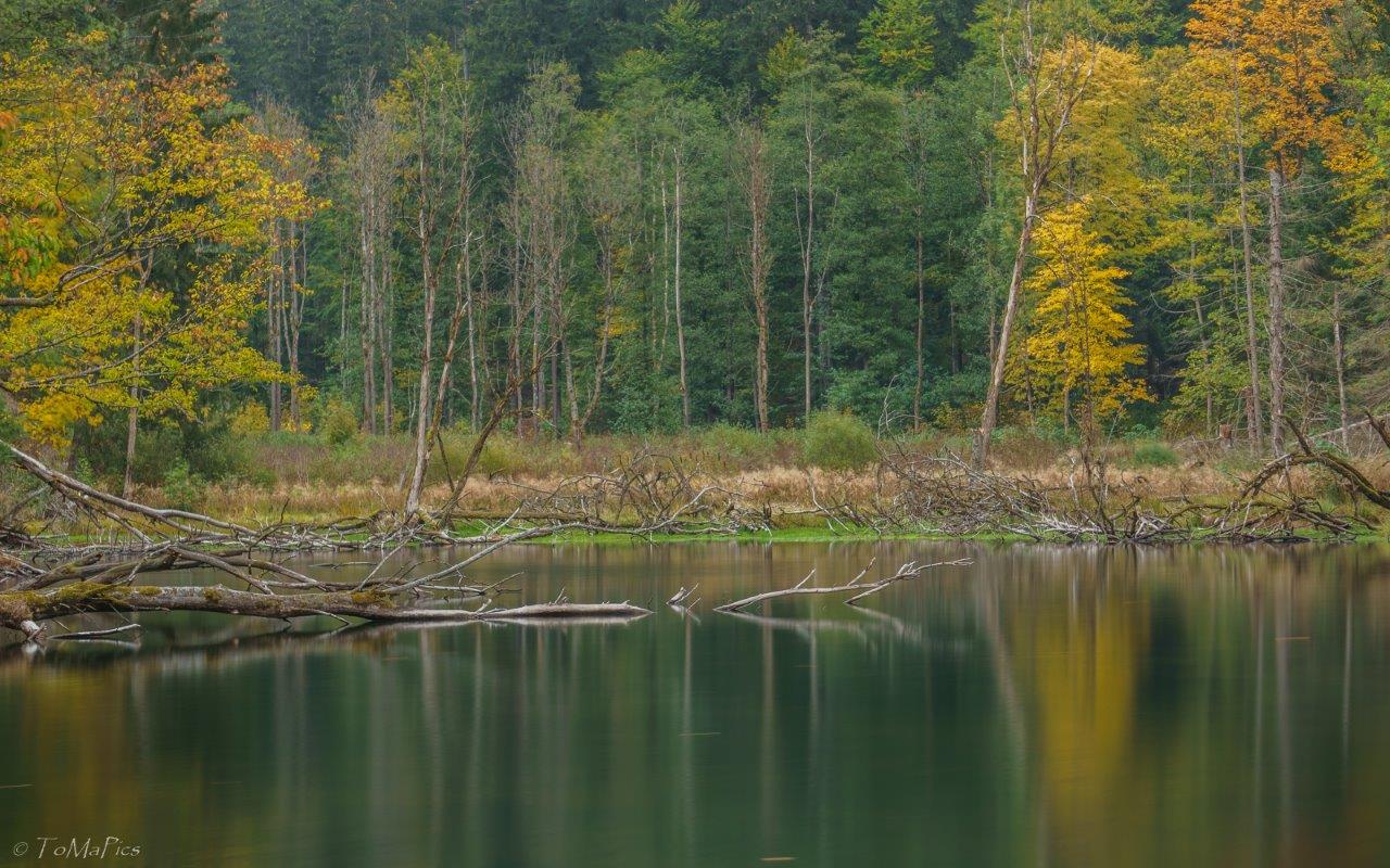 DSC01872-Floßteich_Lamitztal.jpg