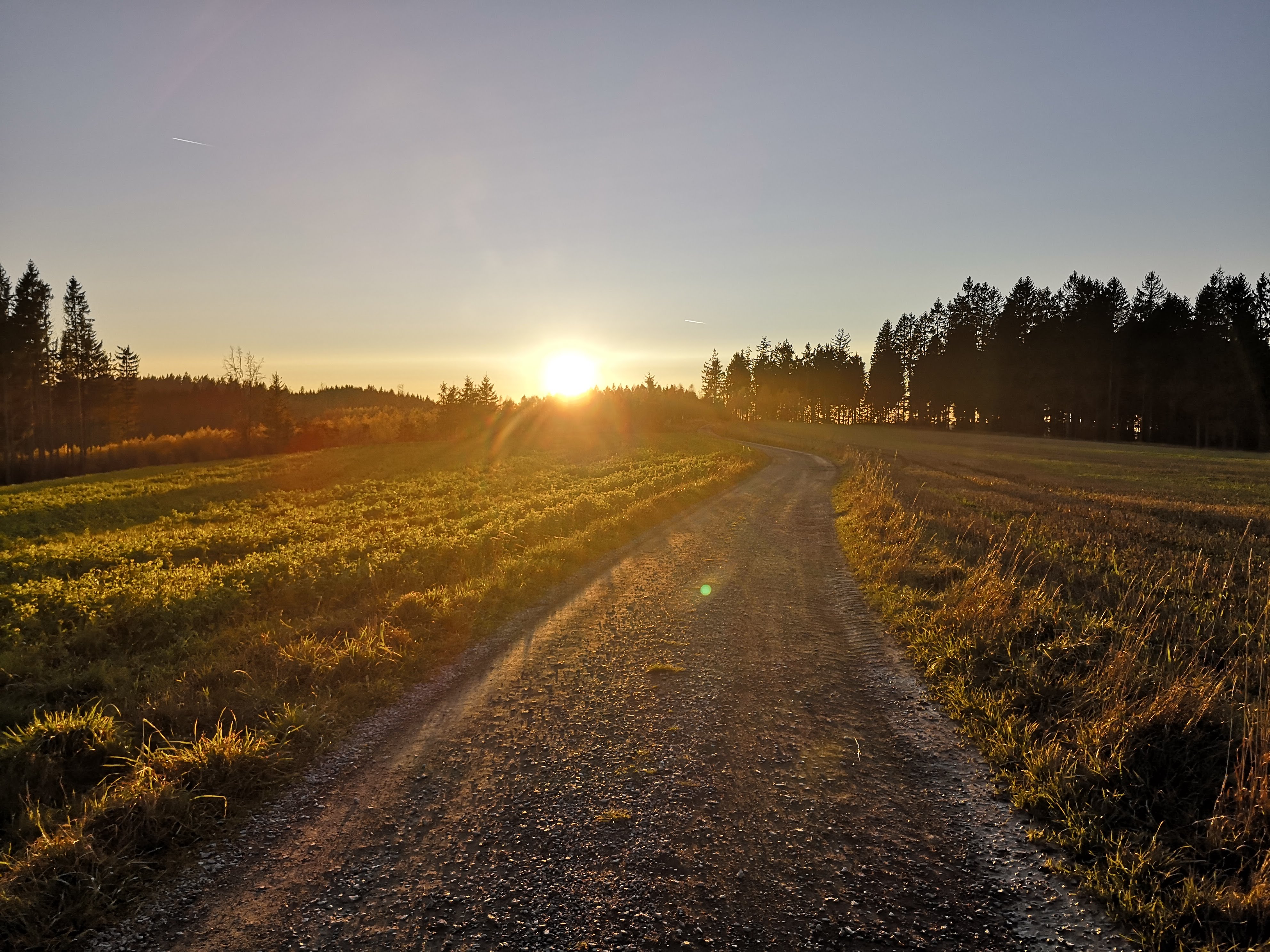 Goldener Herbst