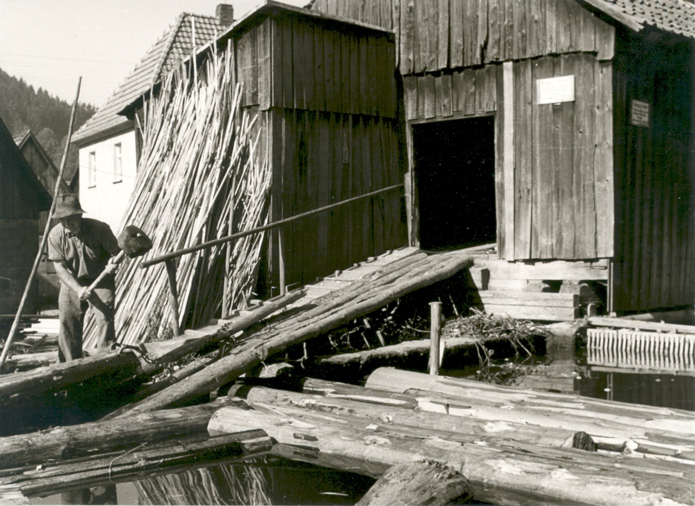 Holzwirtschaft in den 1960er Jahren